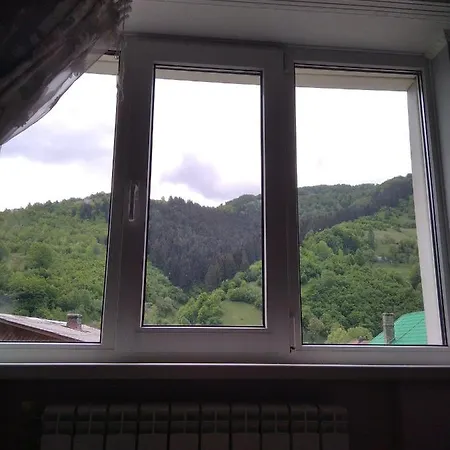 Guest house тушер Rakhiv