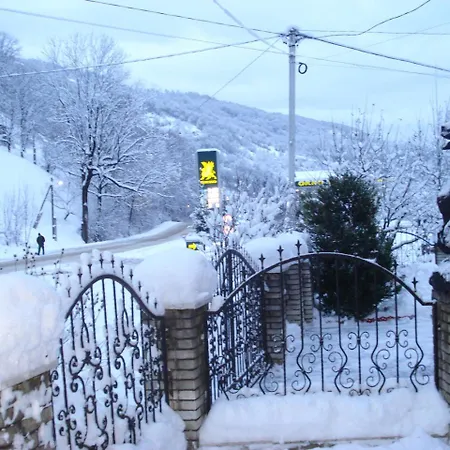 тушер Guest house Rakhiv