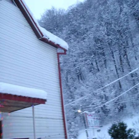 Affittacamere тушер