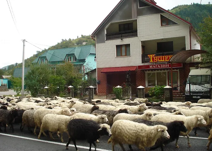 тушер Konukevi *