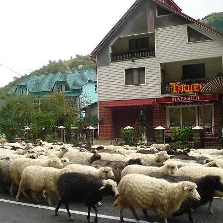 тушер 招待所 *